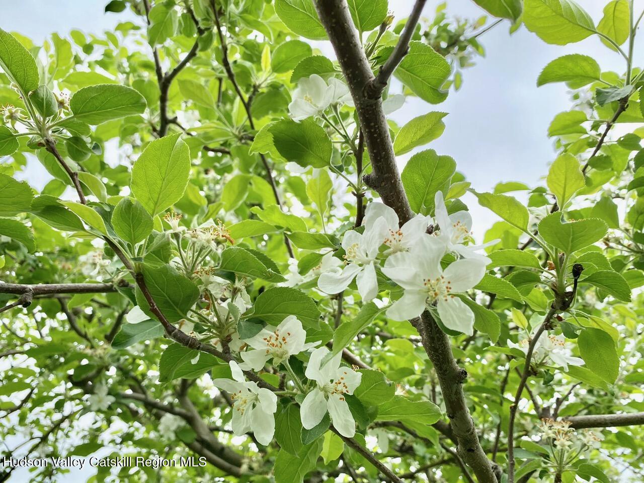 223 Plattekill Road Marlboro, NY 12542 - Photo 41 of 41 IMG_4503