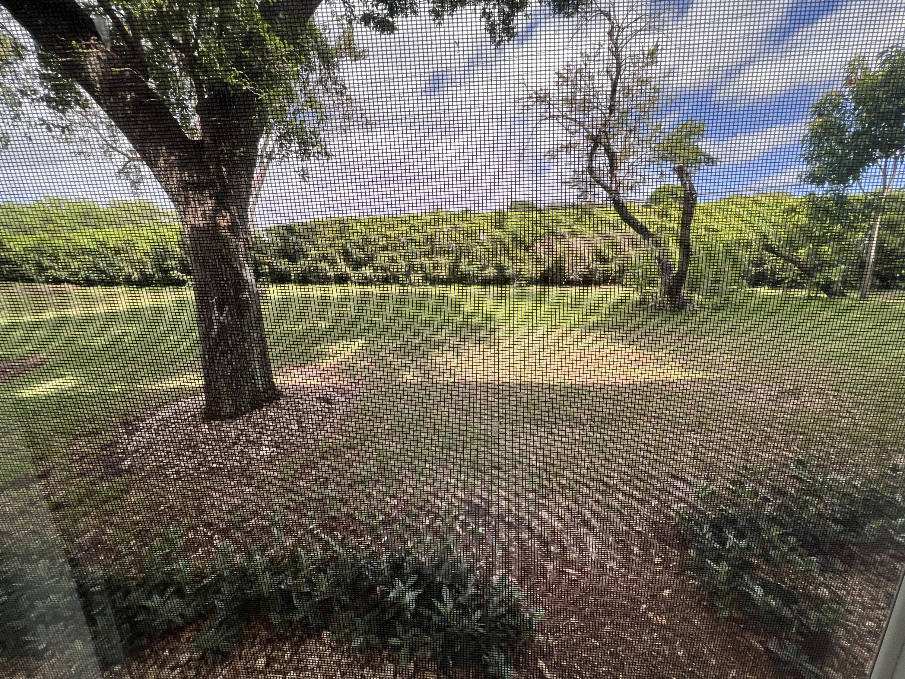 441 Normandy Lane Delray Beach, FL 33484 - Photo 10 of 14 IMG_1213