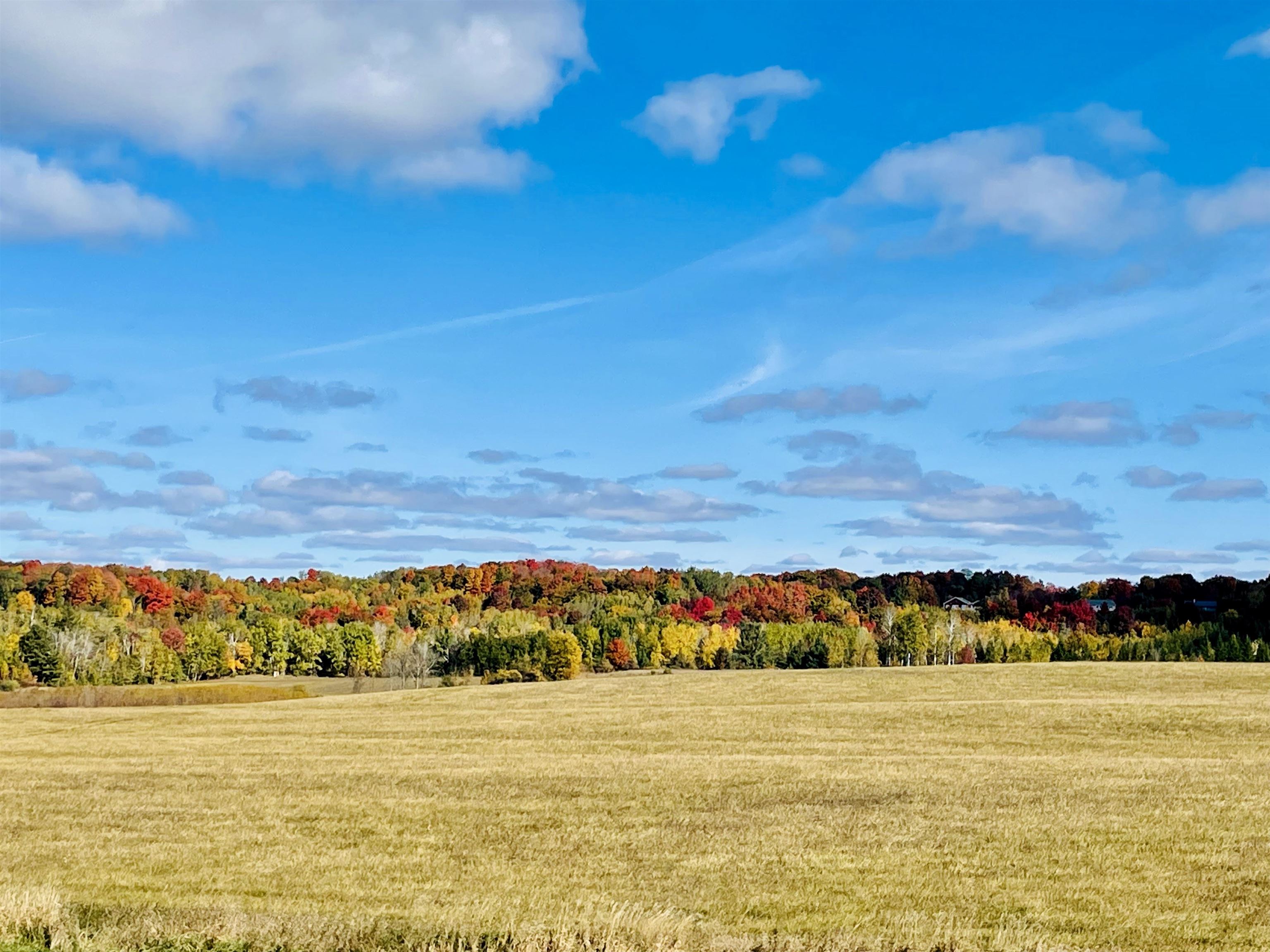 0 Zawora Road Kewadin, MI 49648 - Photo 3 of 12