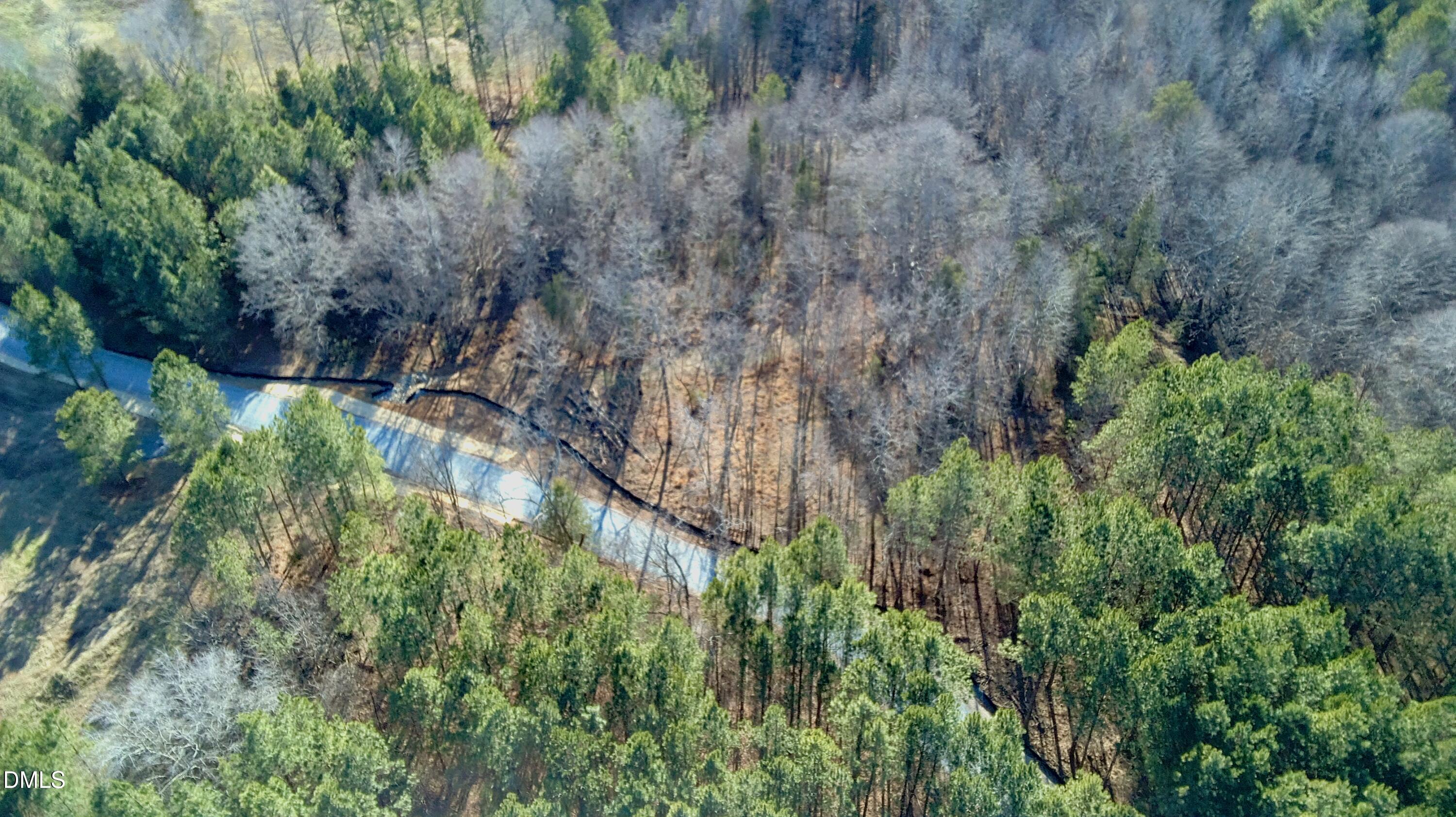 2 Wolf Tree Way Efland, NC 27243 - Photo 19 of 29 a plant view in yard