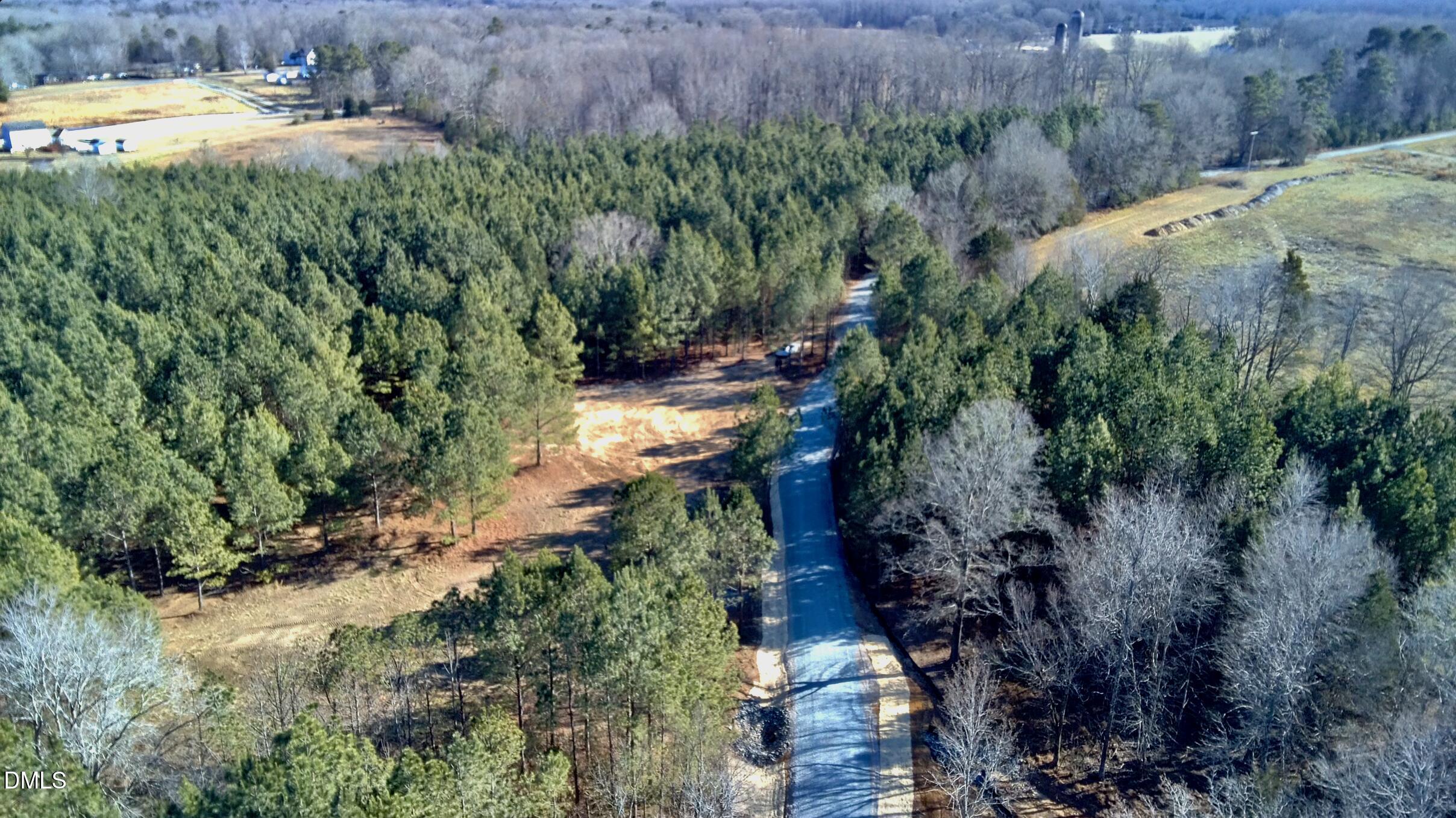 2 Wolf Tree Way Efland, NC 27243 - Photo 22 of 29 a view of a yard with plants and large trees