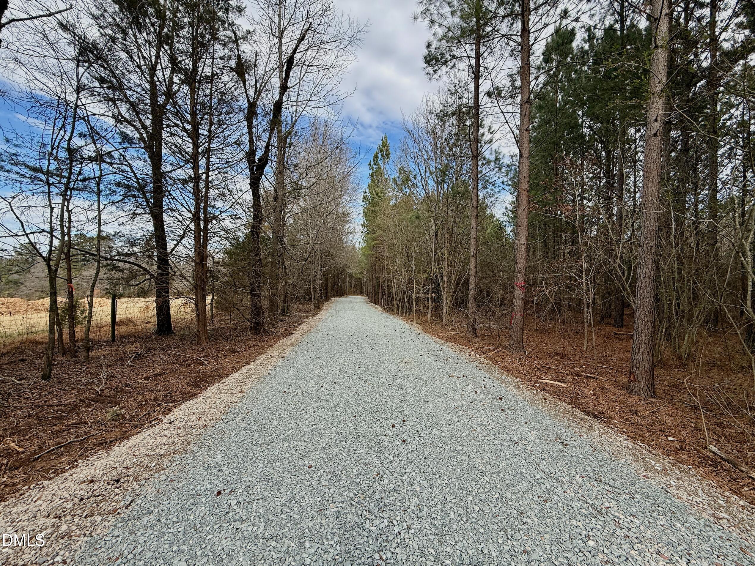2 Wolf Tree Way Efland, NC 27243 - Photo 23 of 29 a view of a forest with trees in the background