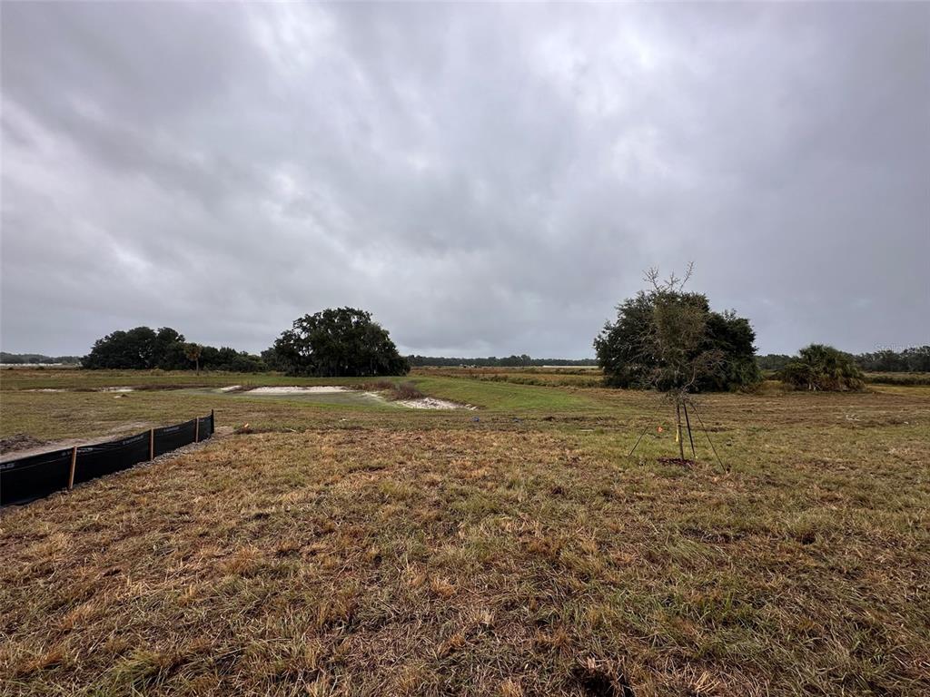 1946 Lanier Road Zephyrhills, FL 33541 - Photo 17 of 17