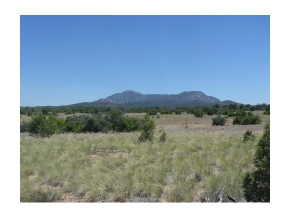 12900 North Pheasant Run Road Prescott, AZ 86305 - Photo 1 of 11 Primary Photo