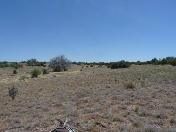 12900 North Pheasant Run Road Prescott, AZ 86305 - Photo 3 of 11 Additional Photo