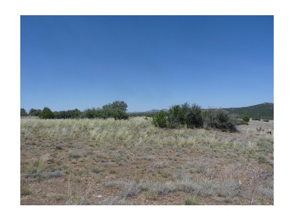 12900 North Pheasant Run Road Prescott, AZ 86305 - Photo 4 of 11 Additional Photo