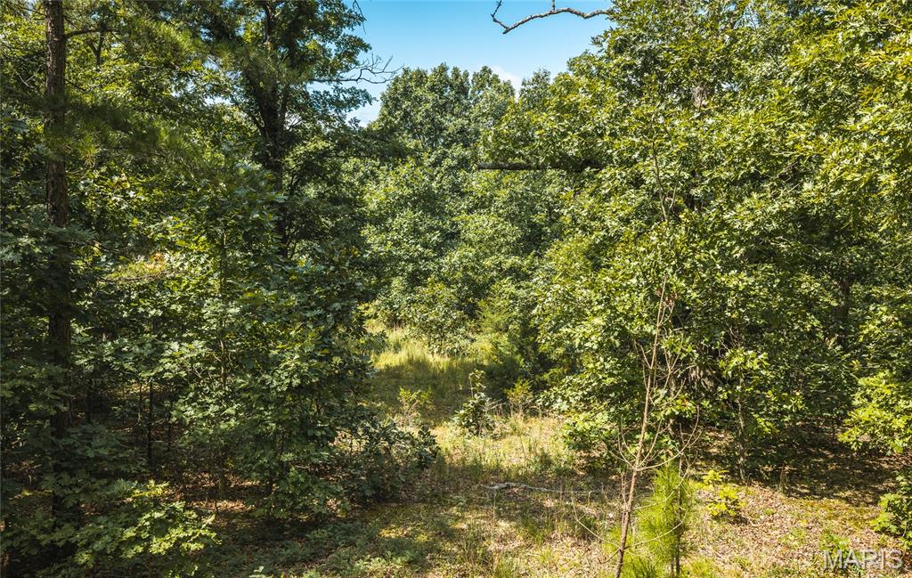 0 New Home Cemetery Road Salem, MO 65560 - Photo 14 of 17 Gallery Image 14