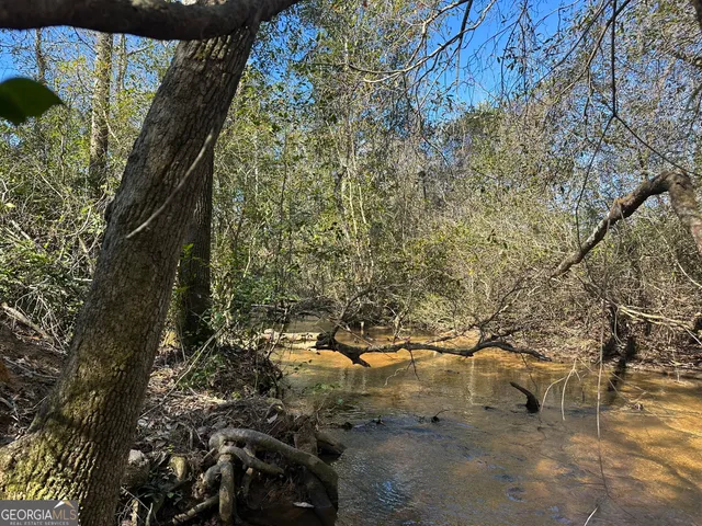 a view of a yard with a tree