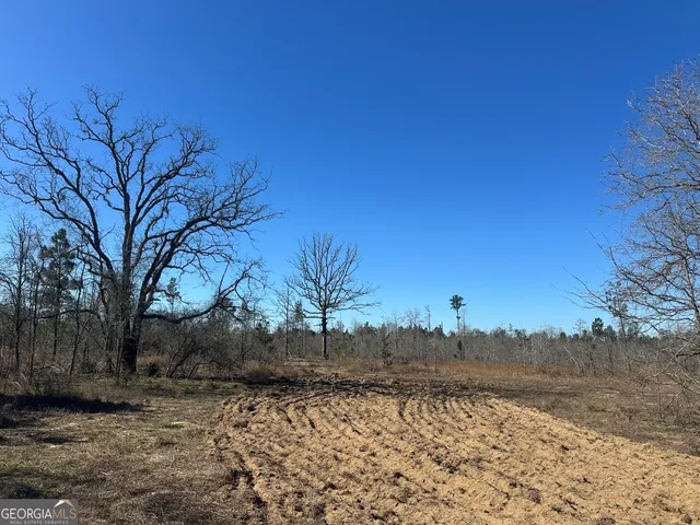 a view of a dry yard with trees in the background