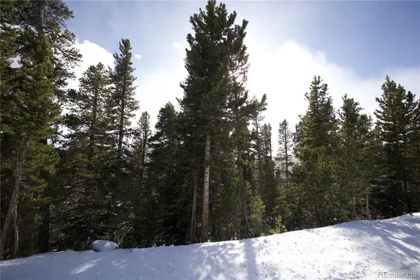 $35,900 | Lot 37 Vista Road, Idaho Springs, CO 80452