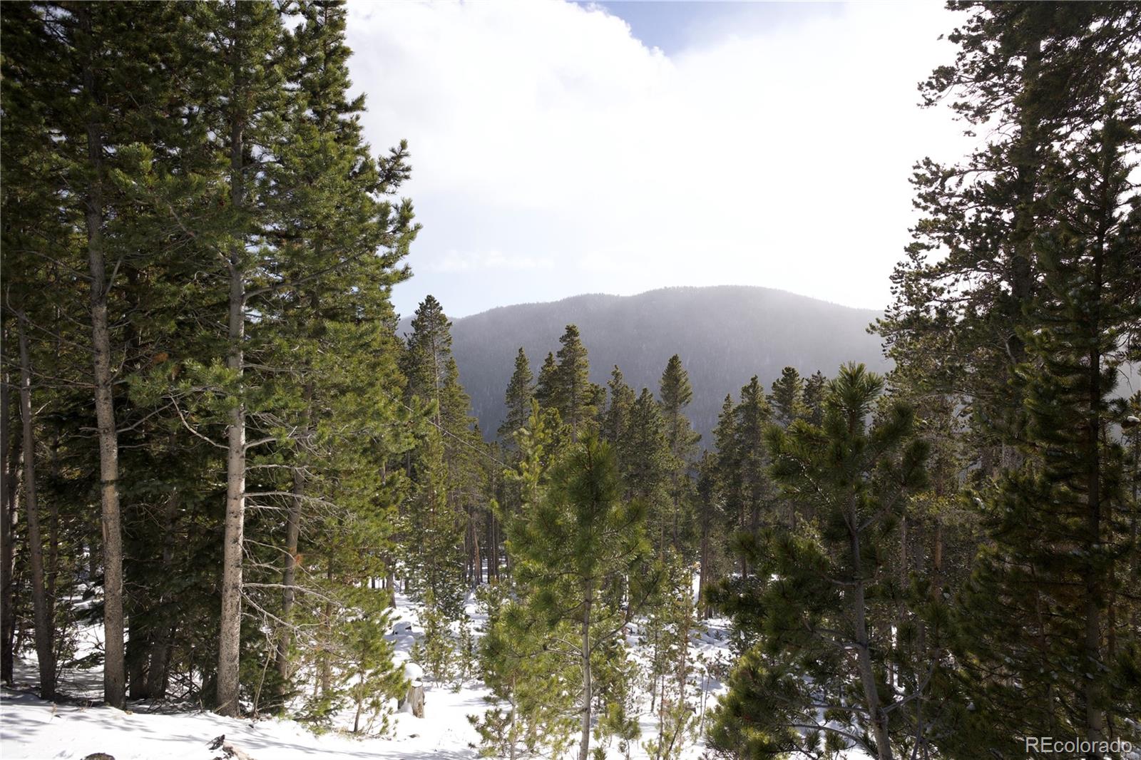 Lot 37 Vista Road Idaho Springs, CO 80452 - Photo 2 of 27 a view of a yard