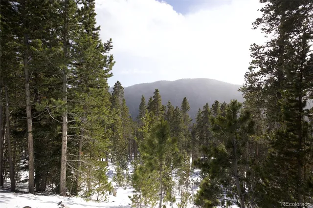 a outdoor space with lots of trees