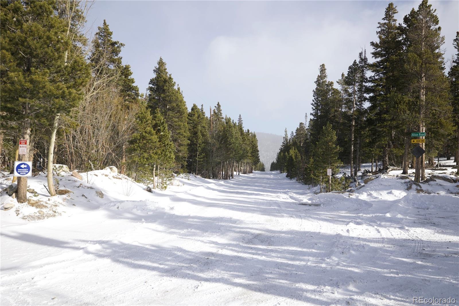 Lot 37 Vista Road Idaho Springs, CO 80452 - Photo 4 of 27 a view of a backyard of snow