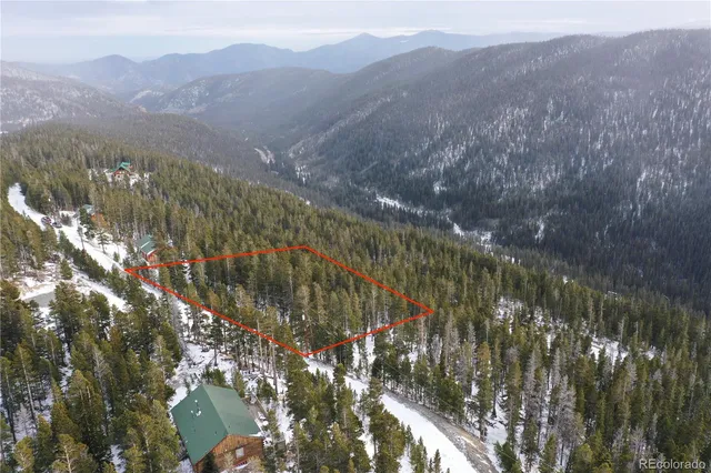 a view of a forest with mountains in the background