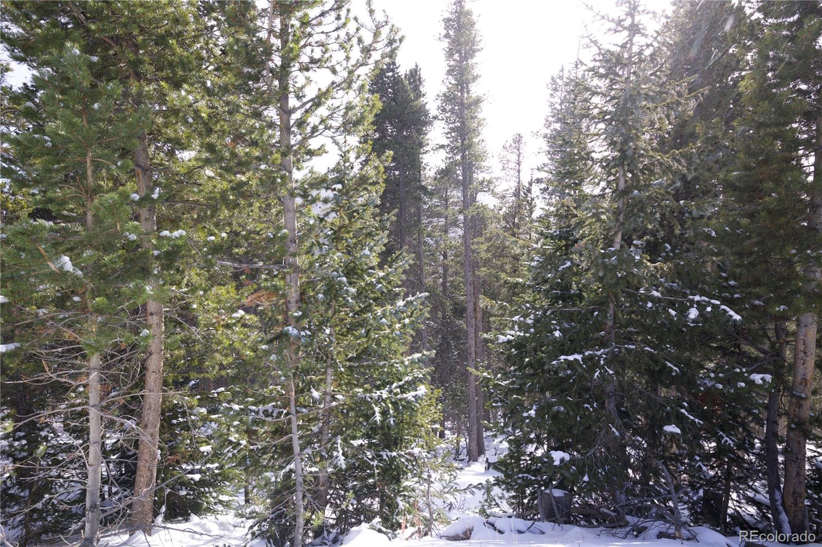 Lot 37 Vista Road Idaho Springs, CO 80452 - Photo 9 of 27 a view of forest