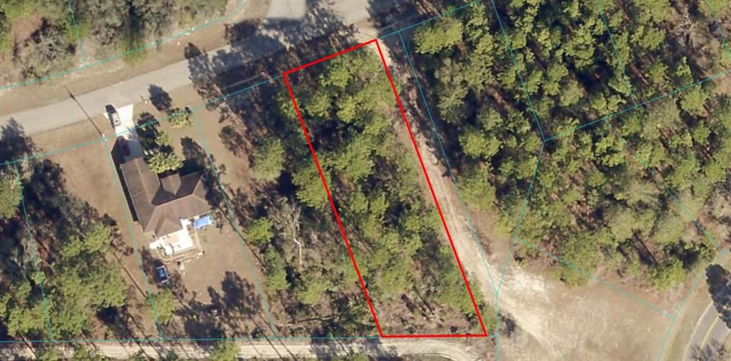 10 Southwest 81 Circle Ocala, FL 34473 - Photo 1 of 1
