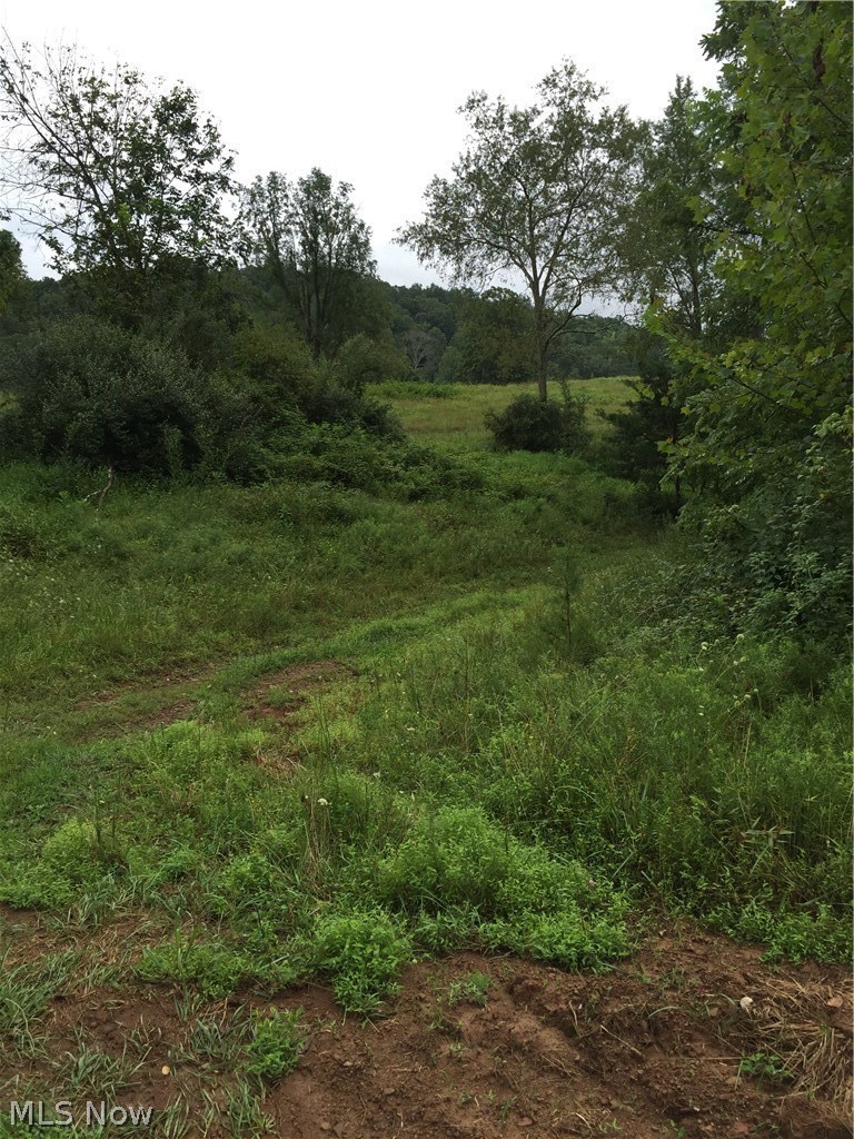 Camp Run Road Alma, WV 26320 - Photo 5 of 9