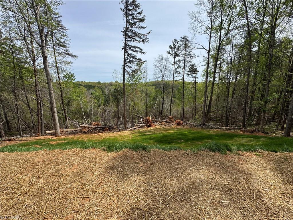 5787 Davis Road Walkertown, NC 27051 - Photo 24 of 30 Back Yard