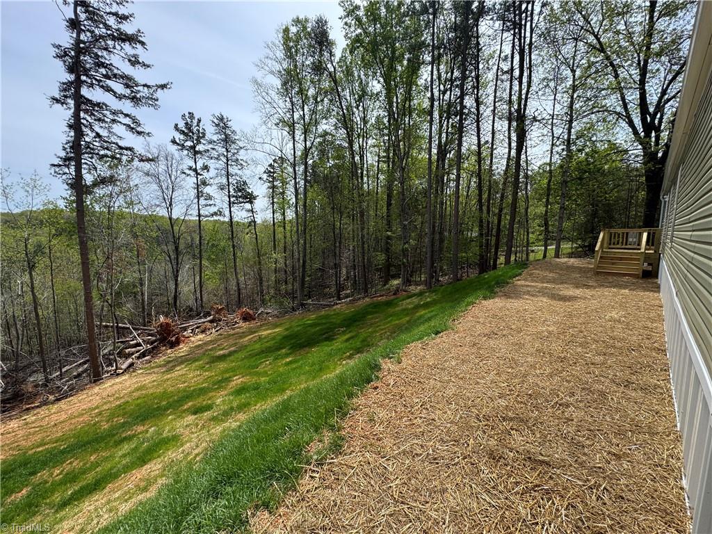 5787 Davis Road Walkertown, NC 27051 - Photo 25 of 30 Back Yard