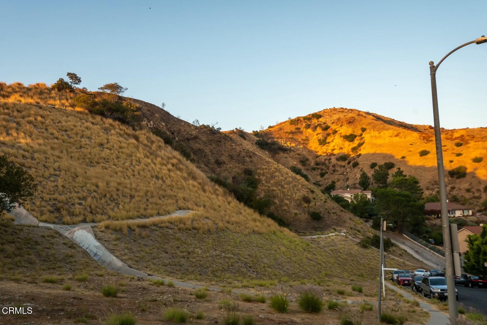 9999 Edmore Place Sun Valley, CA 91352 - Photo 9 of 22 a view of a large tree