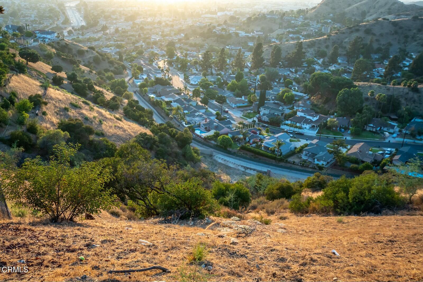 9999 Edmore Place Sun Valley, CA 91352 - Photo 10 of 22 a view of a yard with a tree