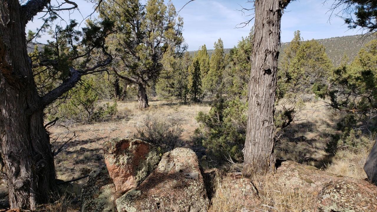 280-acres Southeast 280-acres Se Reed Road Prineville, OR 97754 - Photo 12 of 18 thumbnail_Resized_20191012_120047