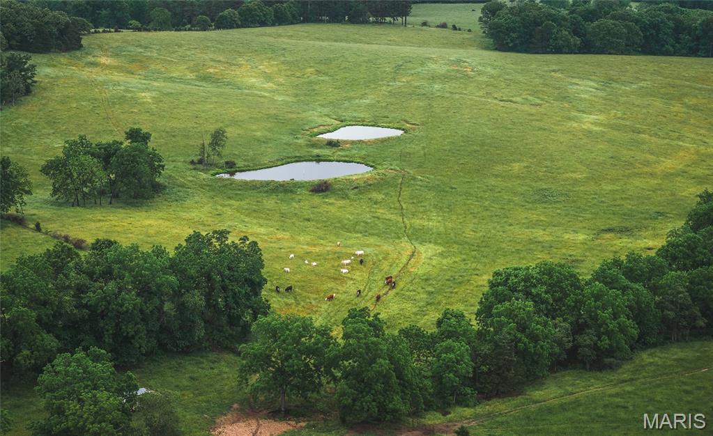 20063 Pigeon Creek Road Licking, MO 65542 - Photo 35 of 50