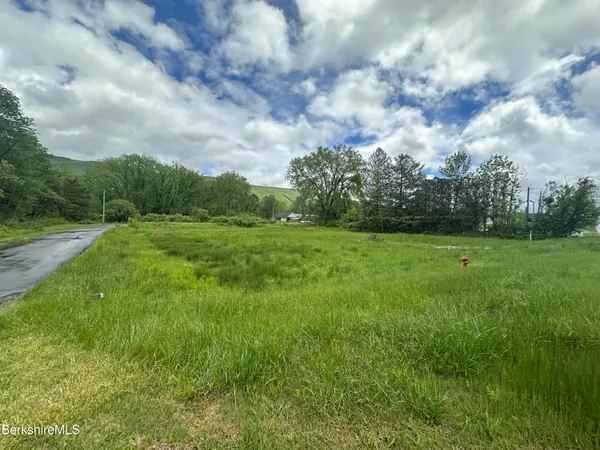 a view of grassy field with trees