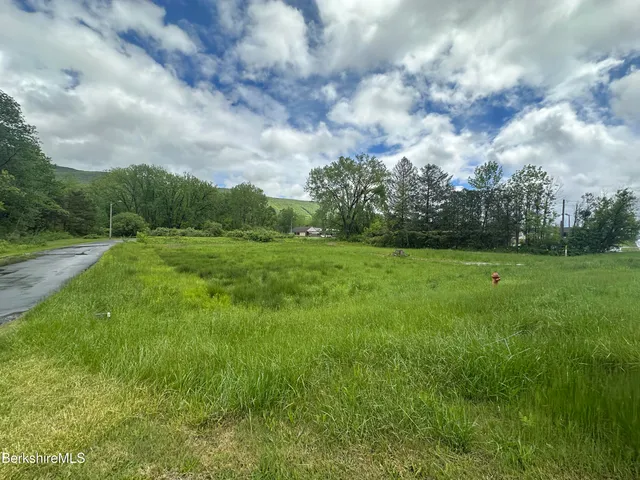 a view of grassy field with trees