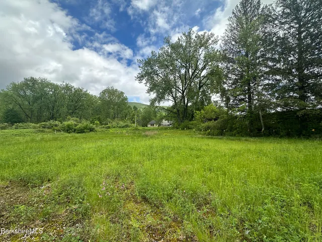 a backyard of a house with lots of green space and pathway