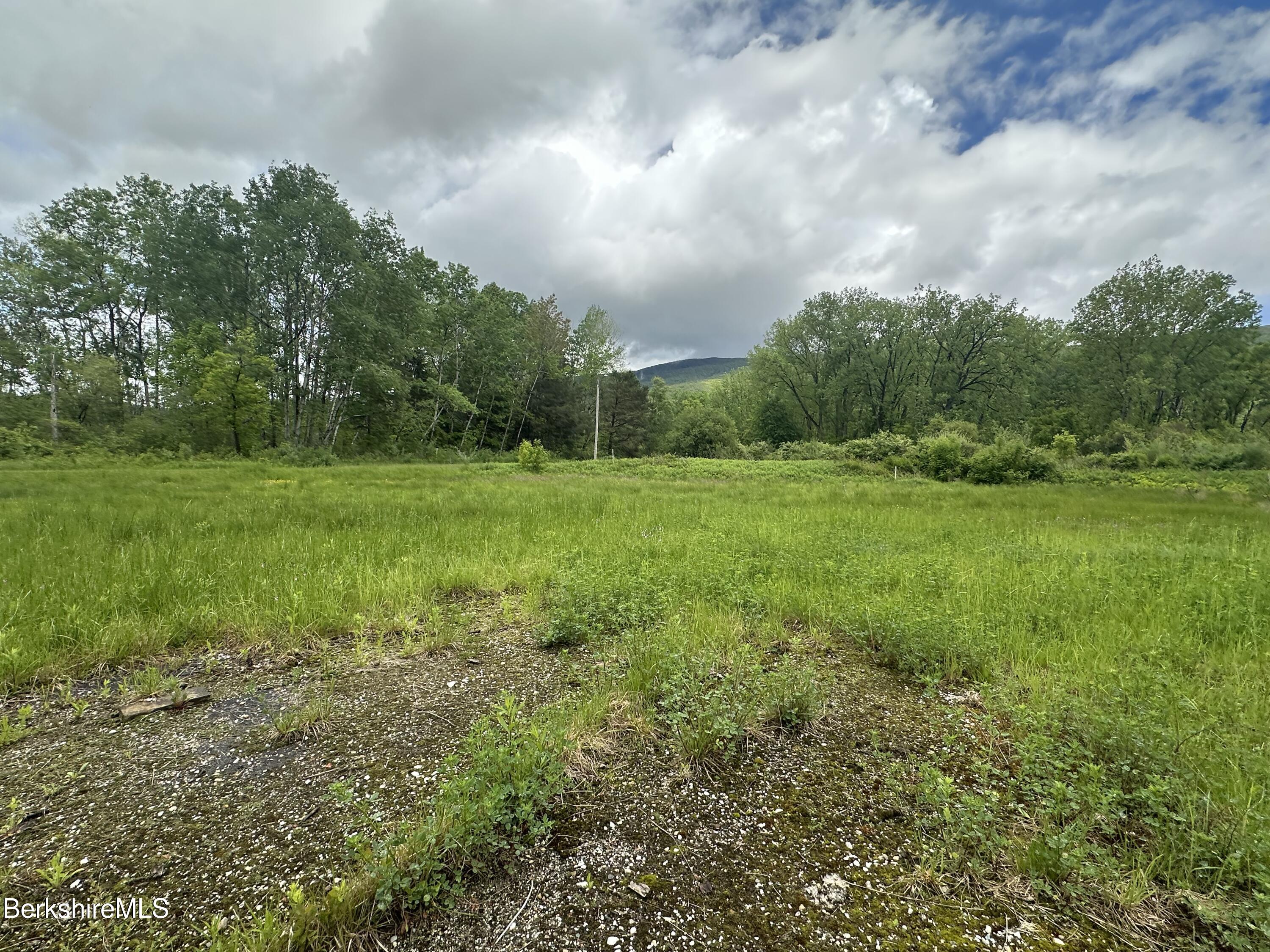 1268 Curran Highway North Adams, MA 01247 - Photo 14 of 19 a view of a big yard with large trees