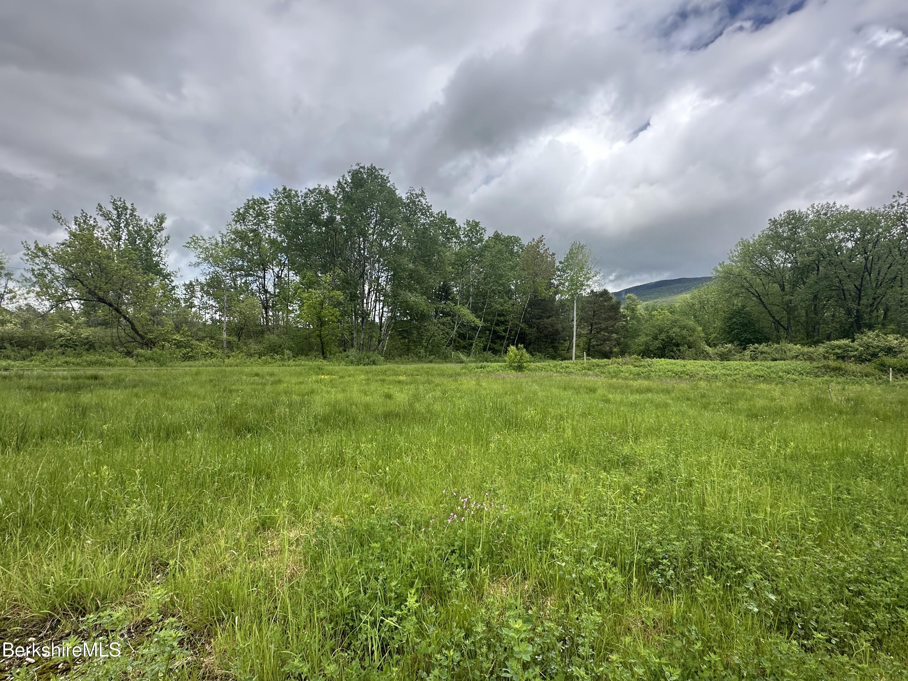 1268 Curran Highway North Adams, MA 01247 - Photo 15 of 19 a backyard of a house with lots of green space and pathway