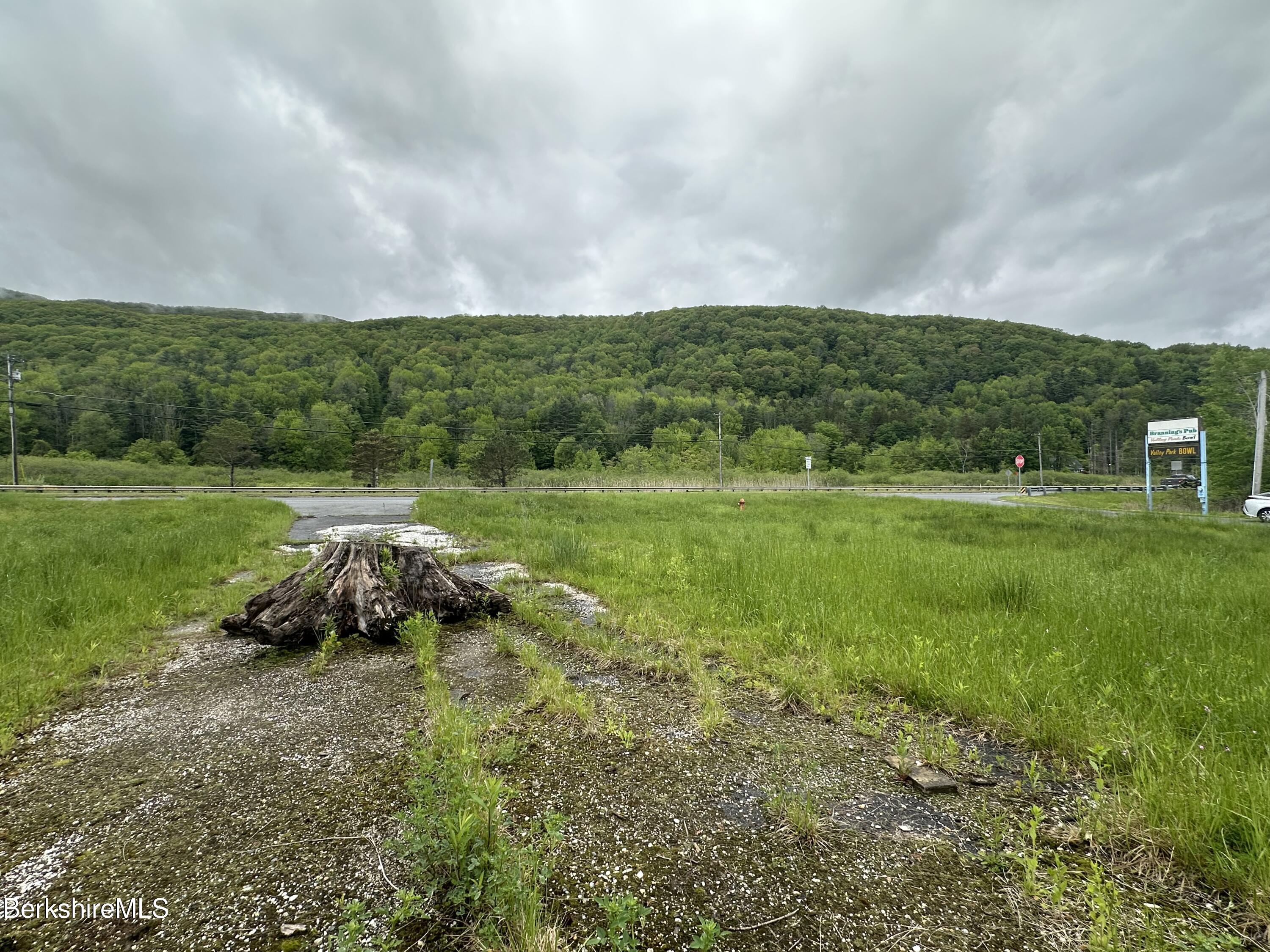 1268 Curran Highway North Adams, MA 01247 - Photo 16 of 19 a big yard with lots of green space