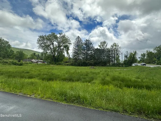 a view of grassy field with trees