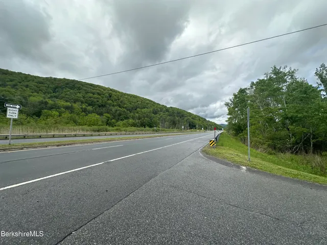 a view of a park with large trees
