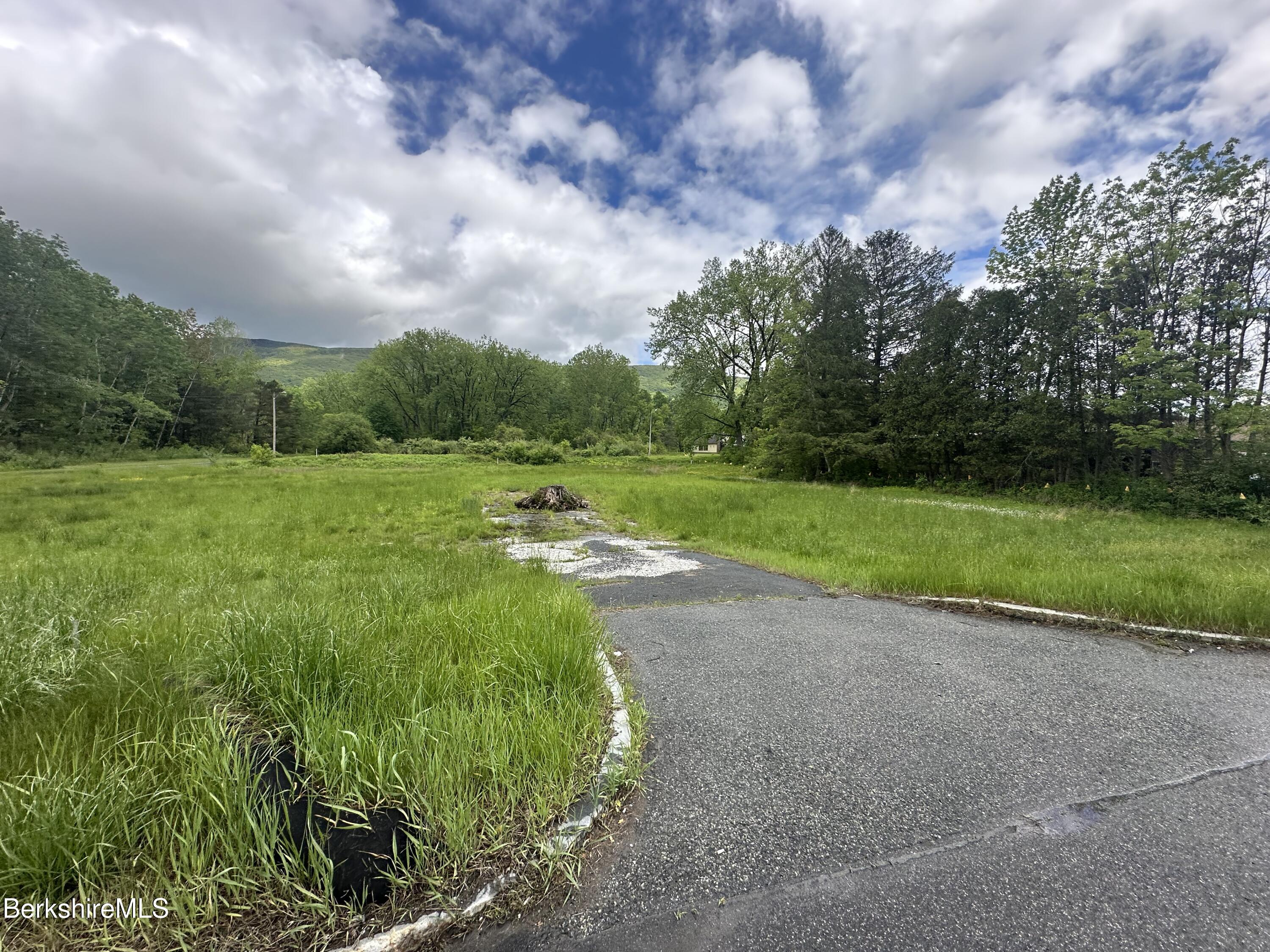 1268 Curran Highway North Adams, MA 01247 - Photo 8 of 19 a view of a park with large trees