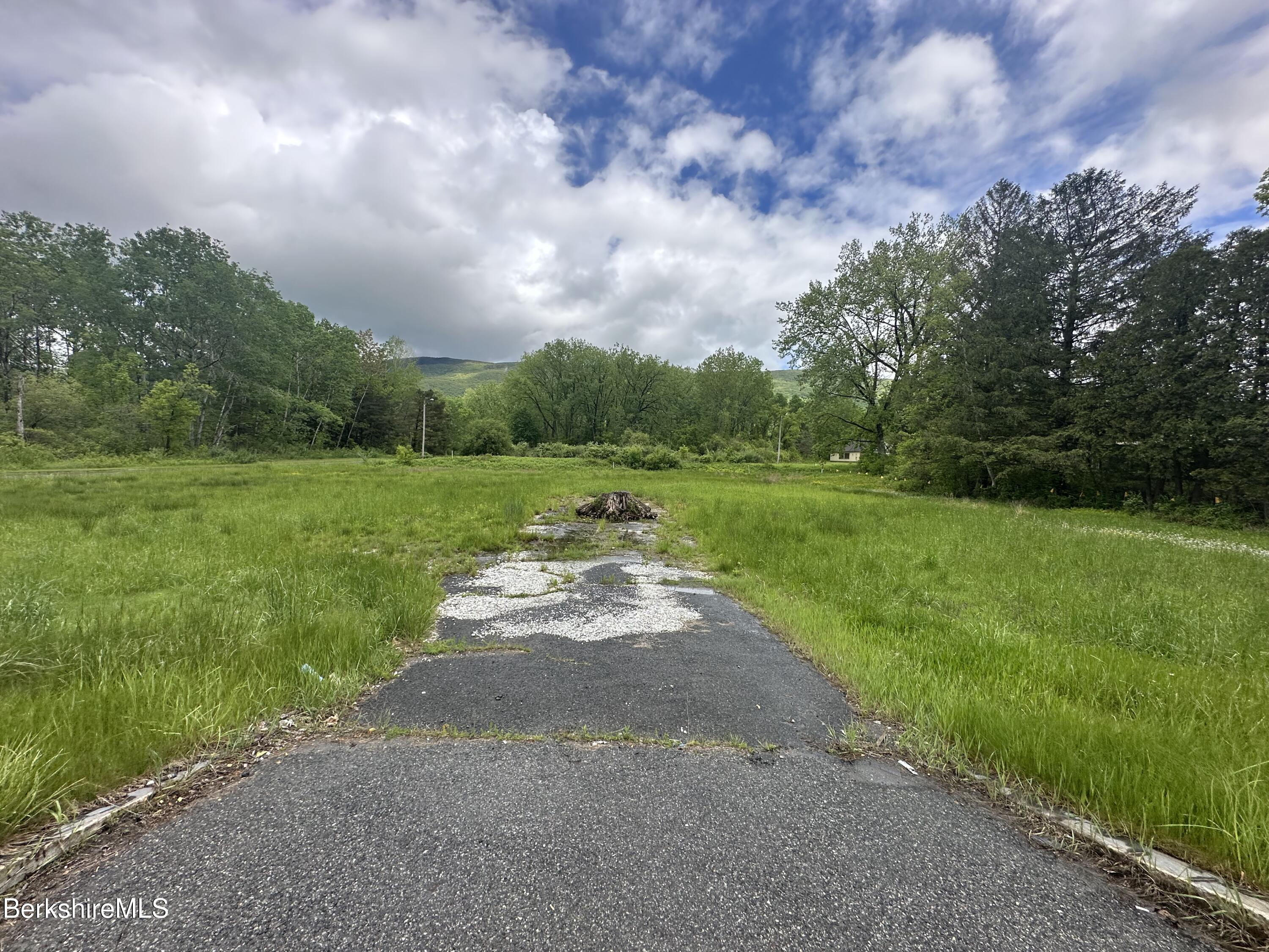1268 Curran Highway North Adams, MA 01247 - Photo 10 of 19 a view of a park and trees
