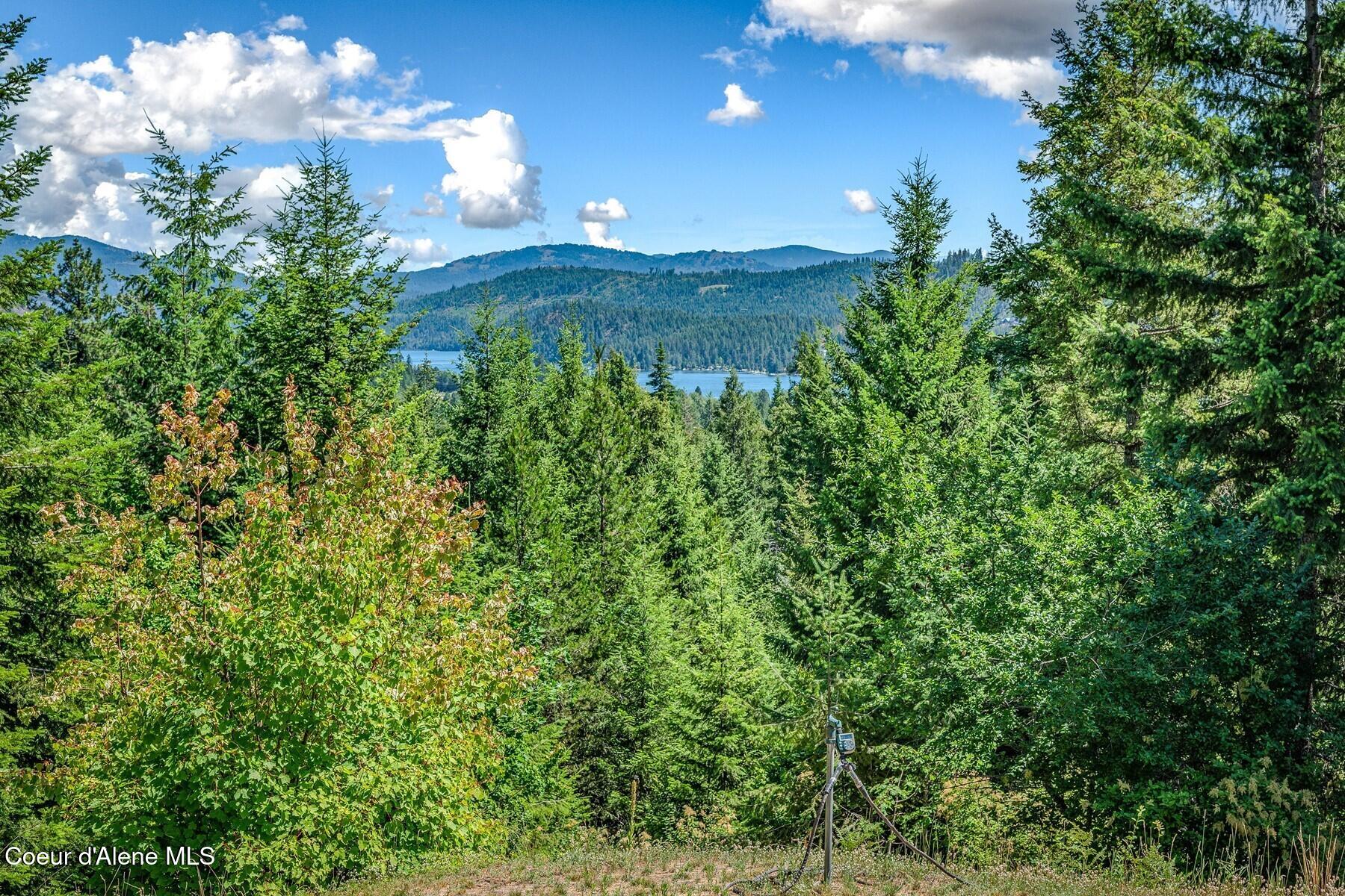 218 Topaz Trail Sandpoint, ID 83864 - Photo 68 of 70 069_River and Mountain Views
