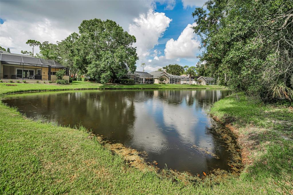 1120 Hunters Place Oldsmar, FL 34677 - Photo 46 of 53