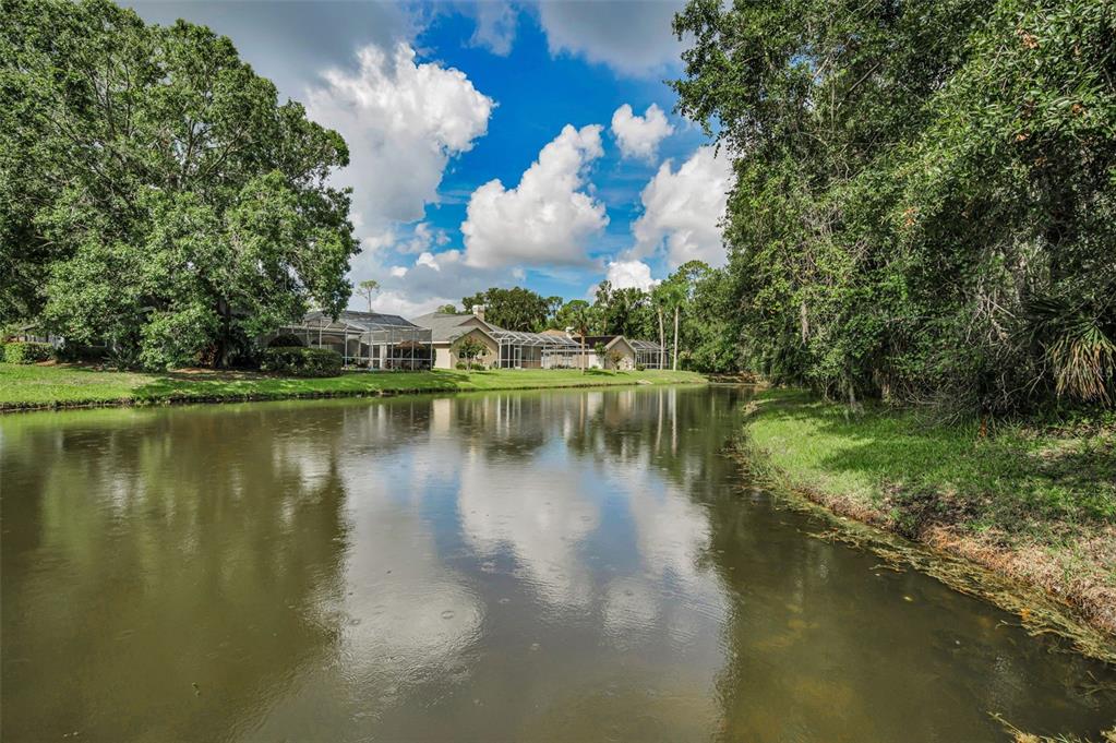 1120 Hunters Place Oldsmar, FL 34677 - Photo 47 of 53