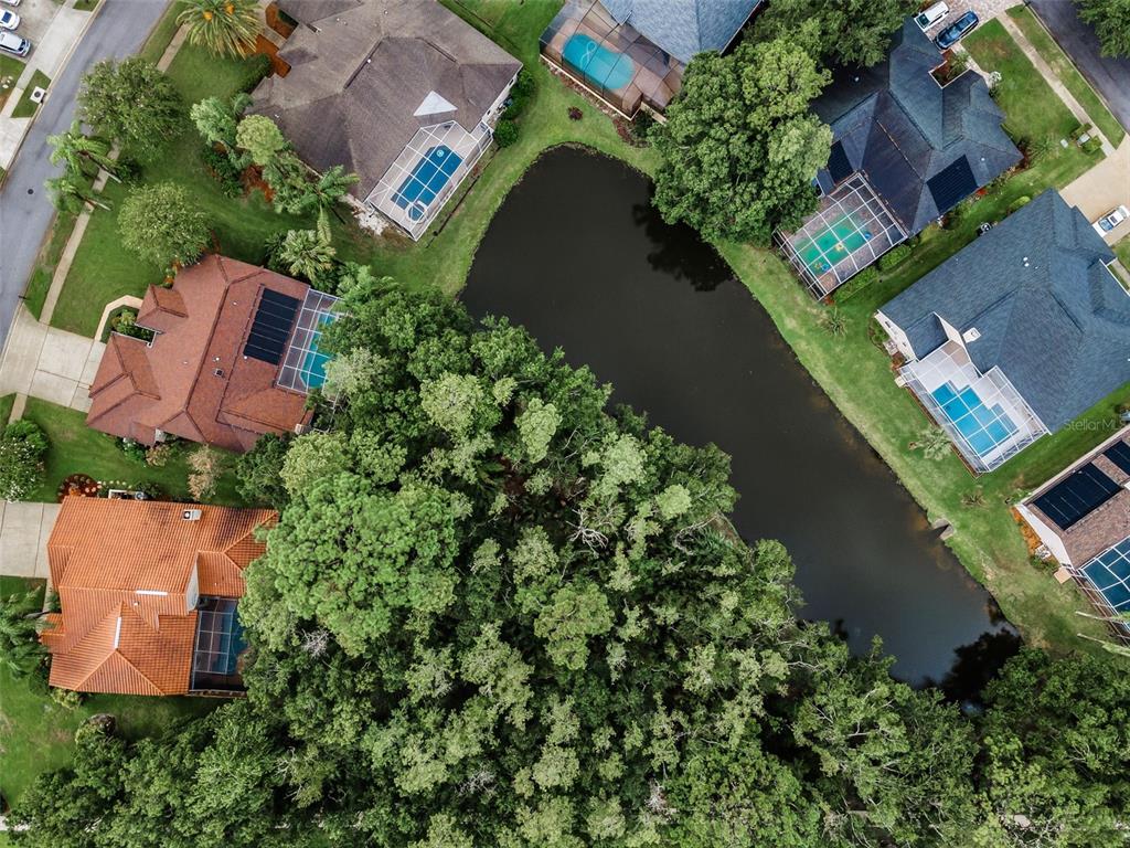 1120 Hunters Place Oldsmar, FL 34677 - Photo 51 of 53