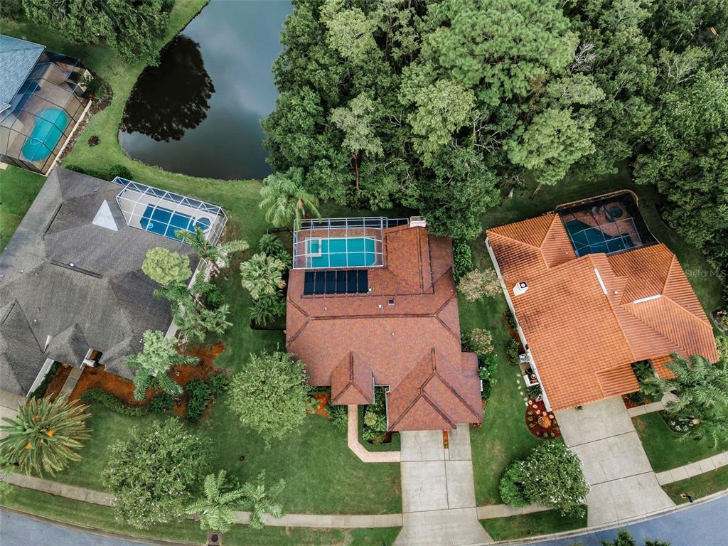 1120 Hunters Place Oldsmar, FL 34677 - Photo 8 of 53