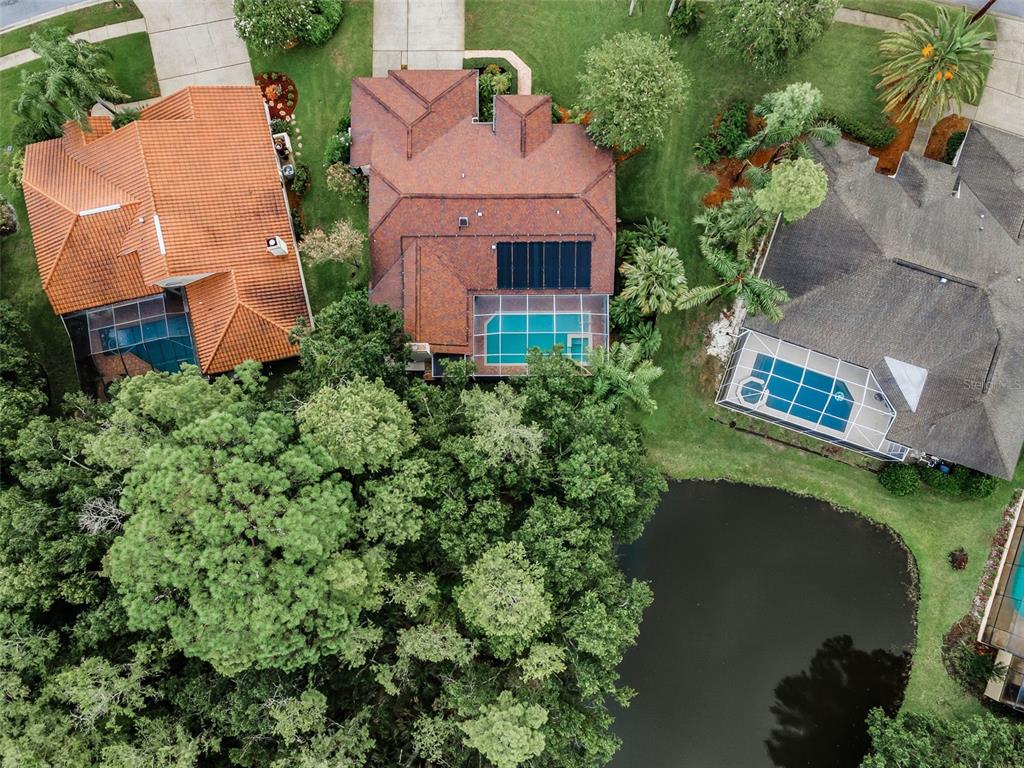 1120 Hunters Place Oldsmar, FL 34677 - Photo 9 of 53