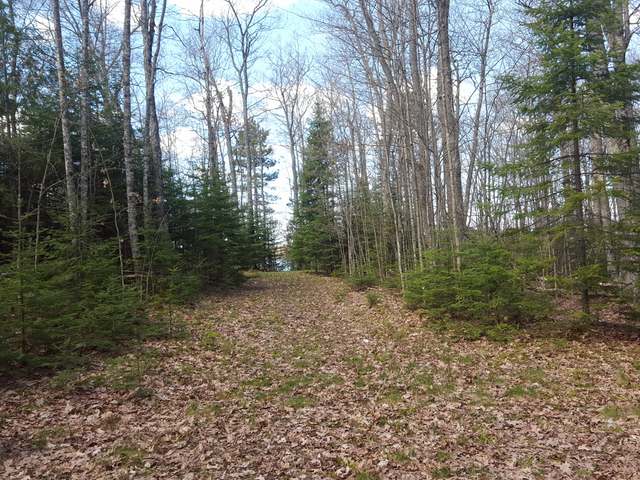 Lot 4 West Carpenter Lake Road Eagle River, WI 54521 - Photo 4 of 20 Gallery Image 4