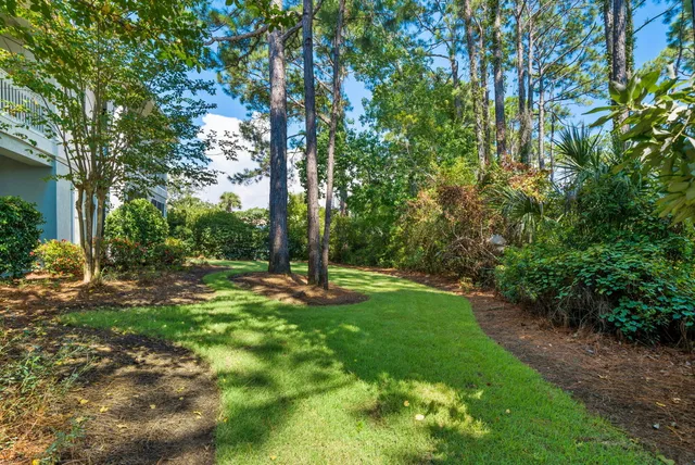 a view of a backyard with a tree
