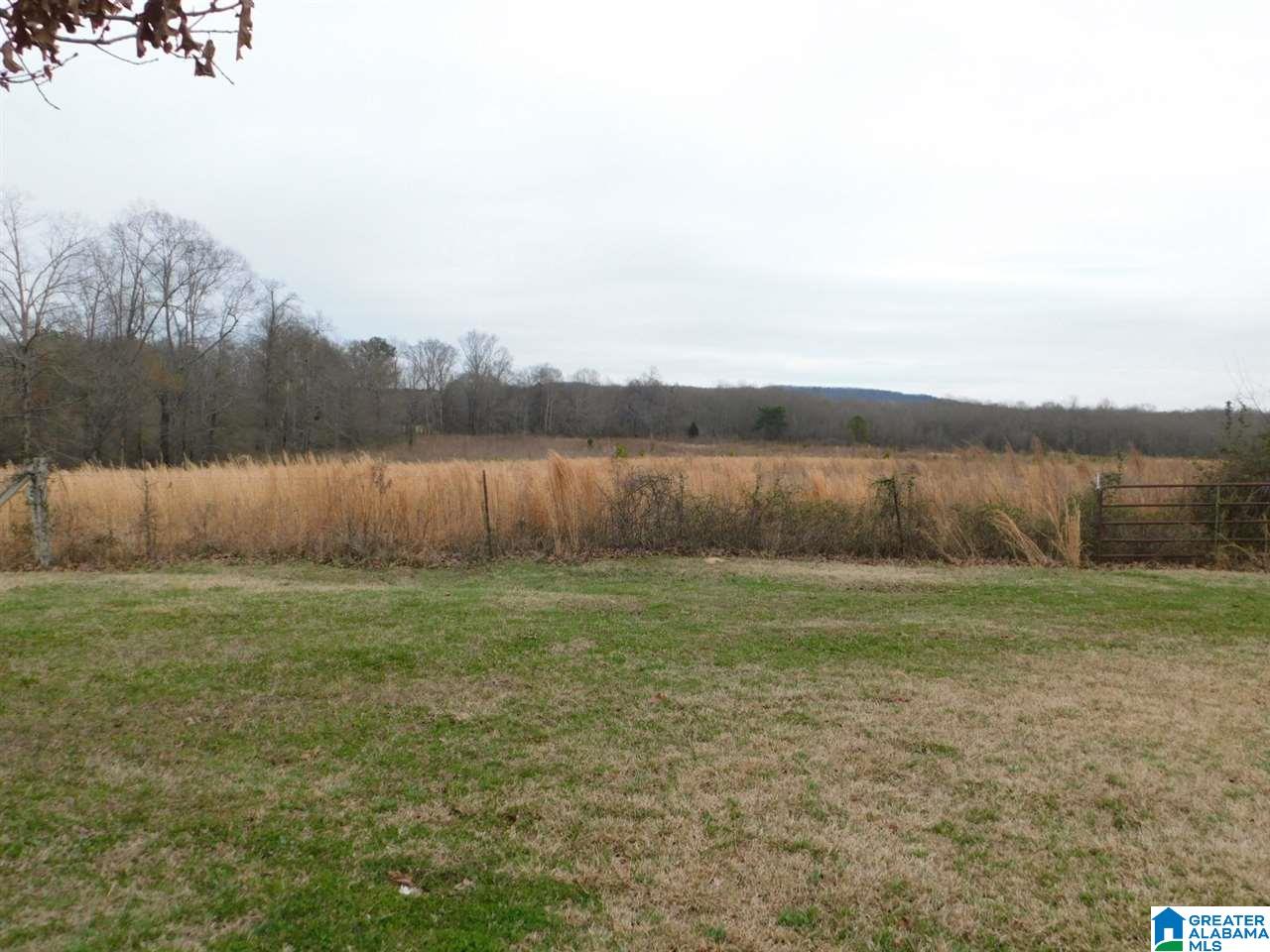 1295 Paul Duncan Road Steele, AL 35987 - Photo 4 of 13