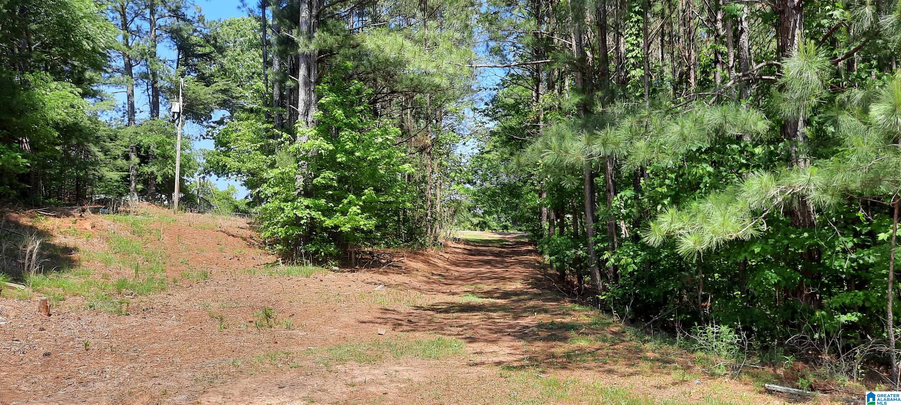 10778 County Road 19 Heflin, AL 36264 - Photo 13 of 41