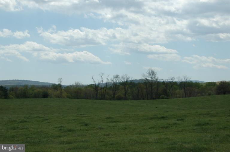 2410 Parshall Road Berryville, VA 22611 - Photo 25 of 30 View
