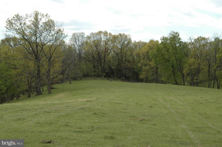 2410 Parshall Road Berryville, VA 22611 - Photo 30 of 30 View