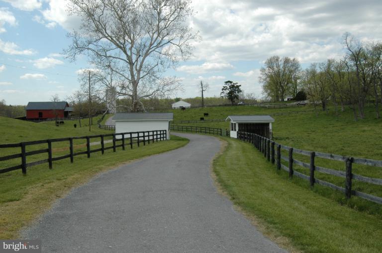 2410 Parshall Road Berryville, VA 22611 - Photo 4 of 30 View